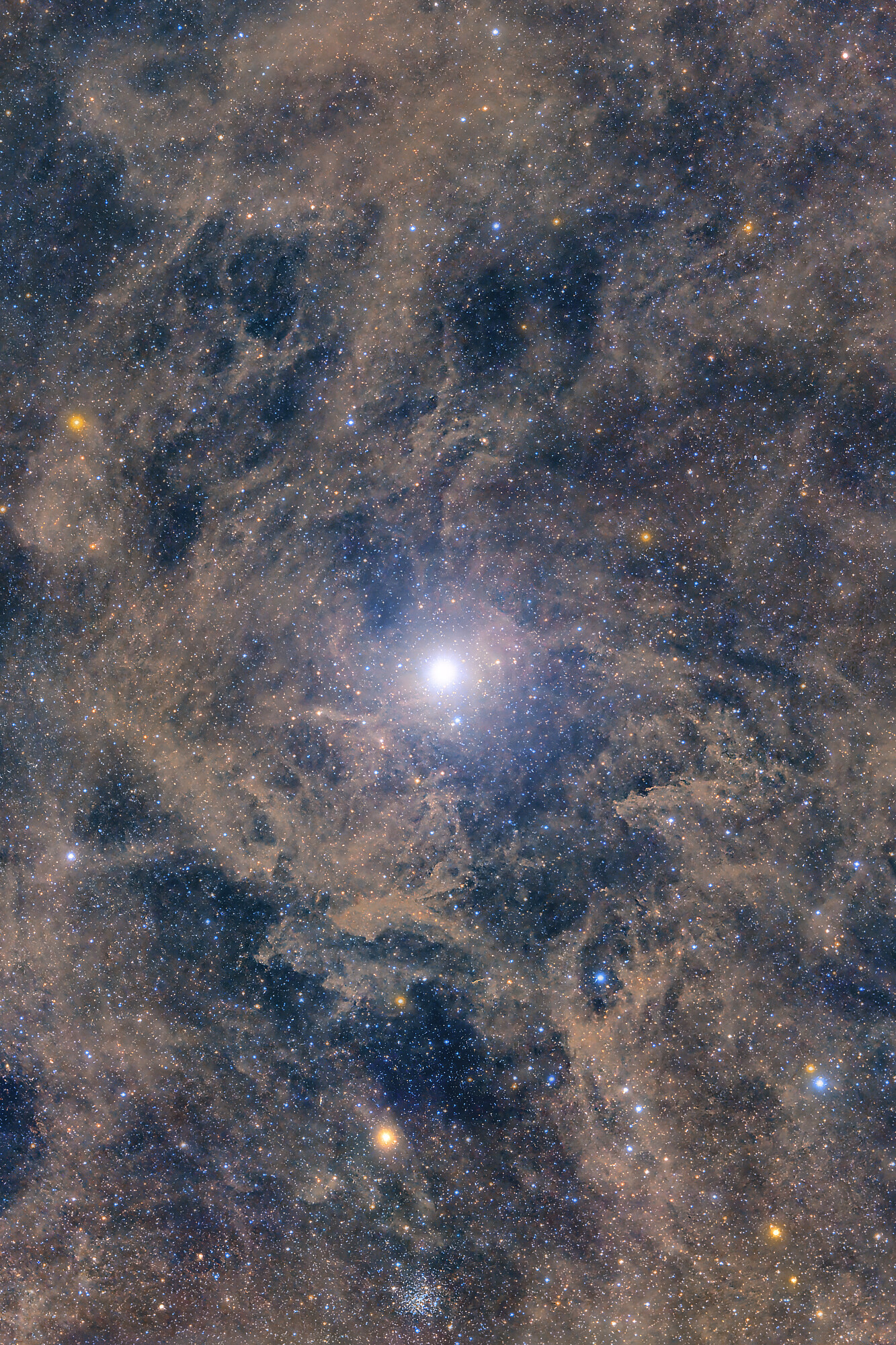 Javier Zayaz Fotógrafo - polaris.jpg